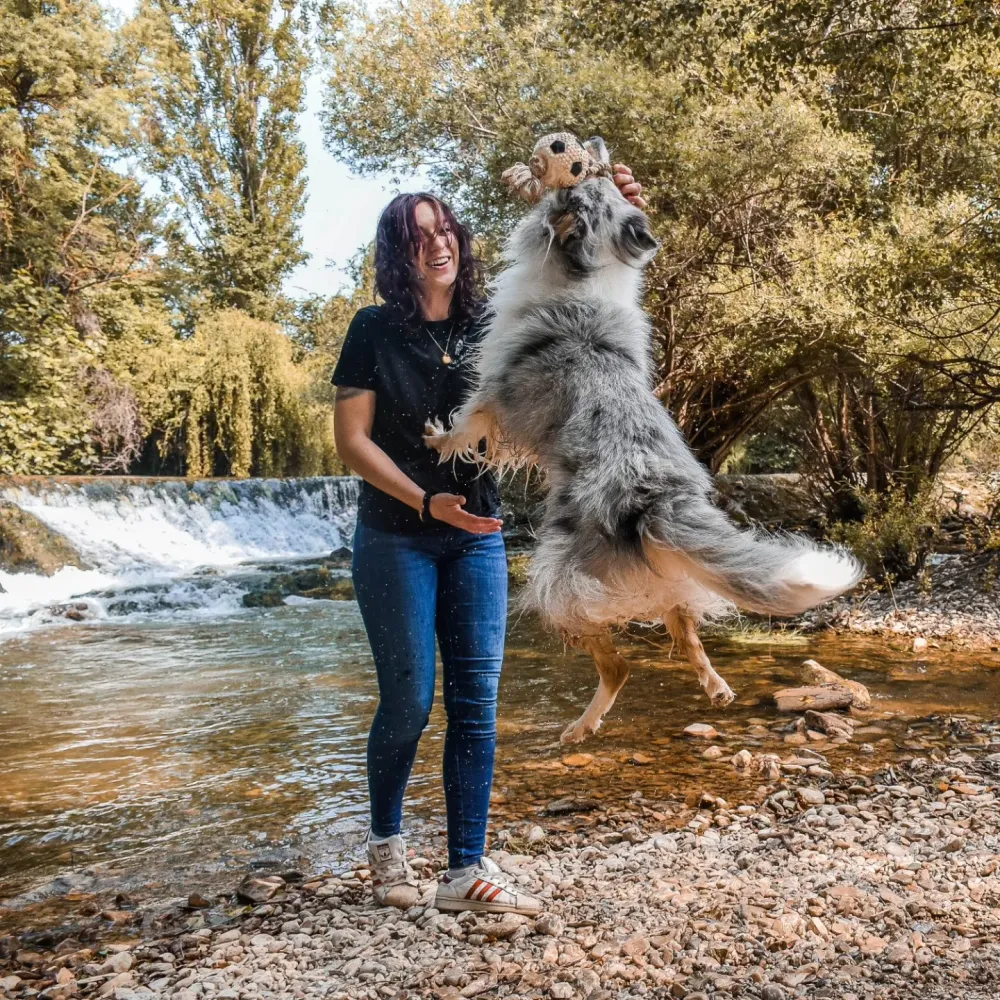 saut